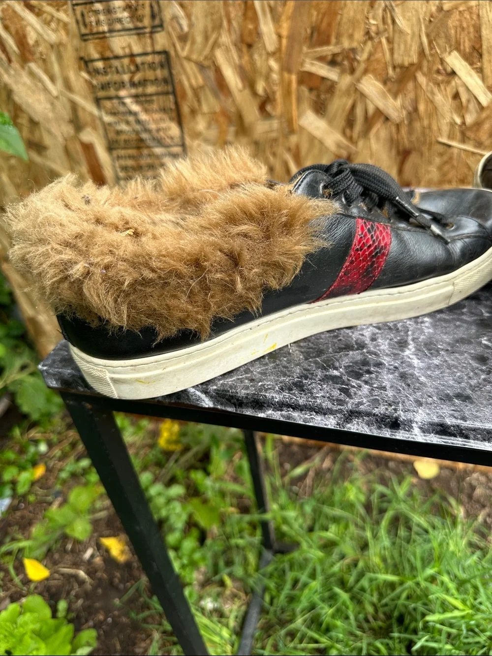 Roberto Cavalli Black Leather Sneakers with Red Accent and Gold Emblem